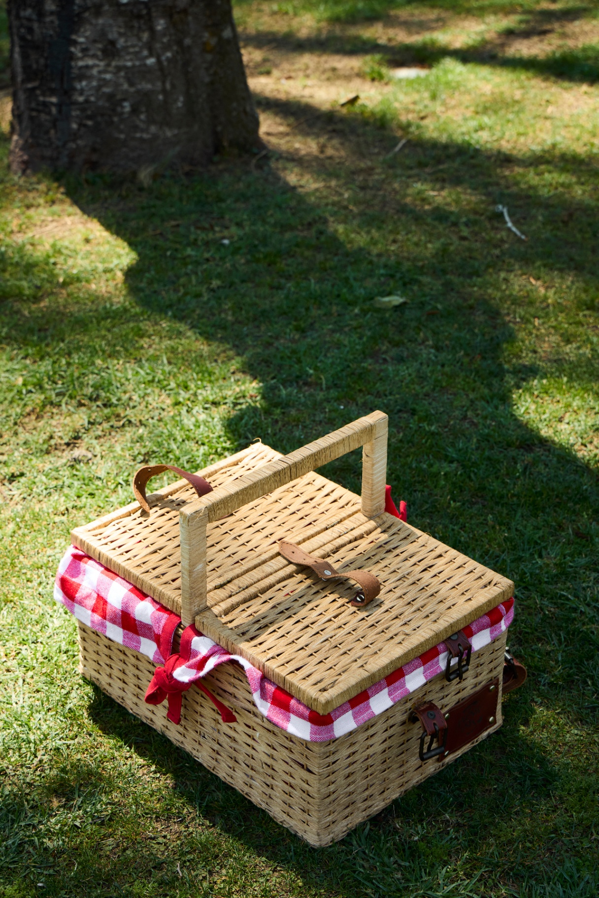 Picnic en el bosque